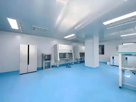 WPS图片实验室2.png